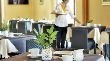 Artemisia Resort