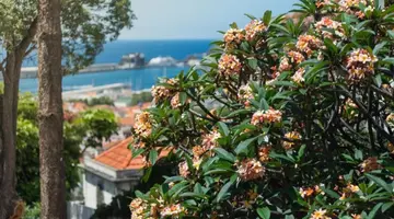 Arts In Hotel Conde Carvalhal