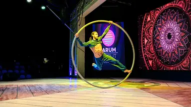 Arum Barut Collection