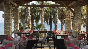 Arum Barut Collection