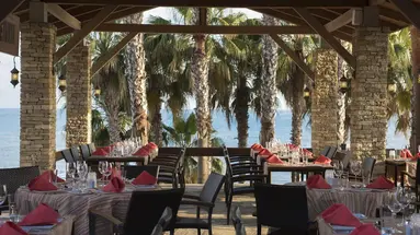 Arum Barut Collection