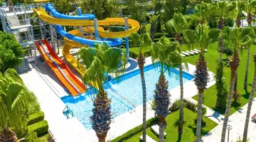 Arum Barut Collection