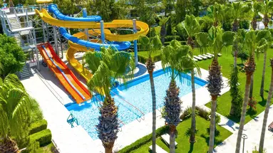 Arum Barut Collection