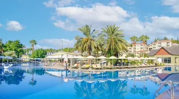 Arum Barut Collection