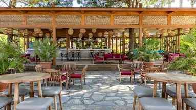 ARUM BARUT COLLECTION