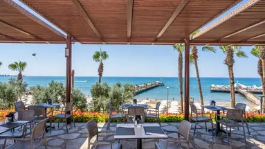 Arum Barut Collection
