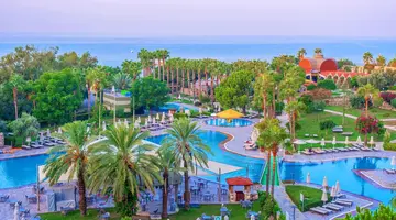Arum Barut Collection
