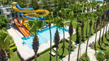 ARUM BARUT COLLECTION