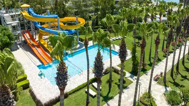 ARUM BARUT COLLECTION
