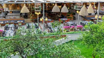 Arum Barut Collection