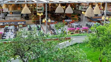 Arum Barut Collection