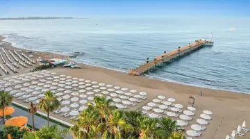 Arum Barut Collection