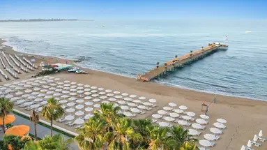 Arum Barut Collection