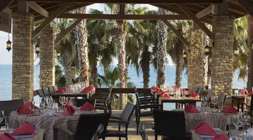 Arum Barut Collection