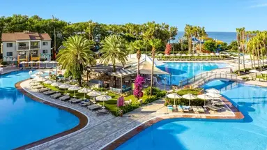 Arum Barut Collection