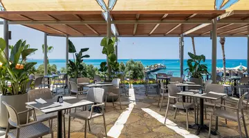 ARUM BARUT COLLECTION