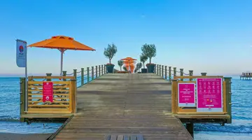 ARUM BARUT COLLECTION