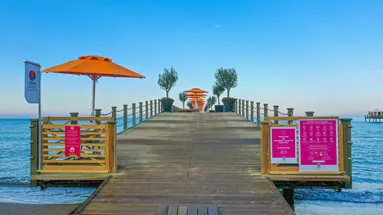 ARUM BARUT COLLECTION