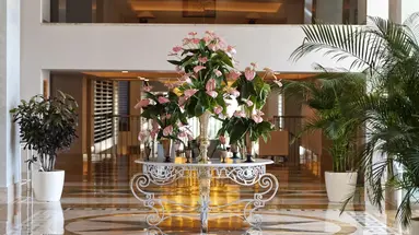 Arum Barut Collection