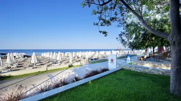 Arum Barut Collection