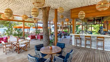 ARUM BARUT COLLECTION