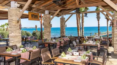 Arum Barut Collection