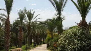 Ascos Coral Beach Hotel