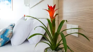 Ascos Coral Beach Hotel