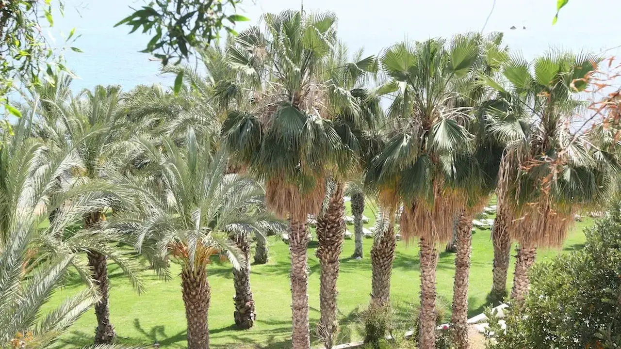 Ascos Coral Beach Hotel