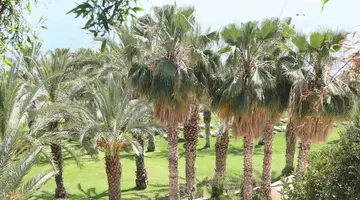 Ascos Coral Beach Hotel