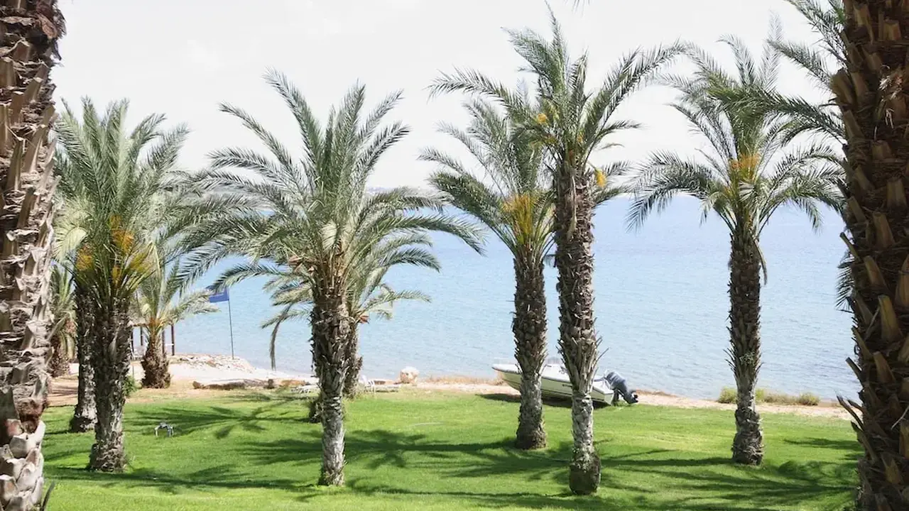 Ascos Coral Beach Hotel