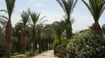 Ascos Coral Beach Hotel
