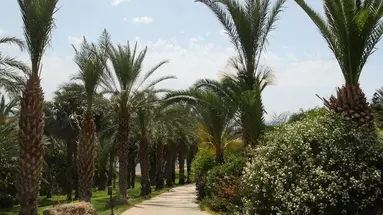 Ascos Coral Beach Hotel