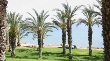Ascos Coral Beach Hotel