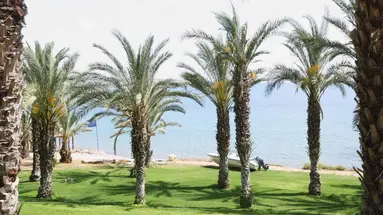 Ascos Coral Beach Hotel