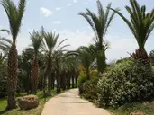 ASCOS CORAL BEACH HOTEL