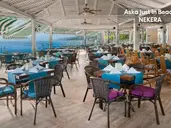ASKA JUST IN BEACH