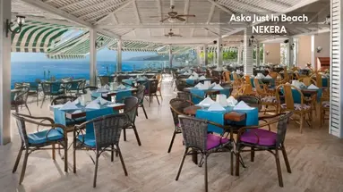 ASKA JUST IN BEACH