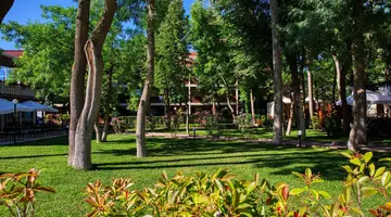 Asteria Family Sunny Beach