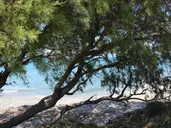 ASTERIAS BAY HOTEL
