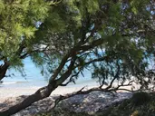 Asterias Bay