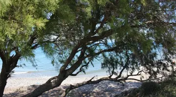 ASTERIAS BAY