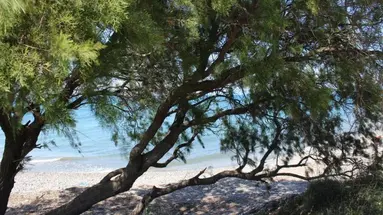 ASTERIAS BAY