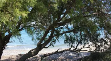Asterias Bay