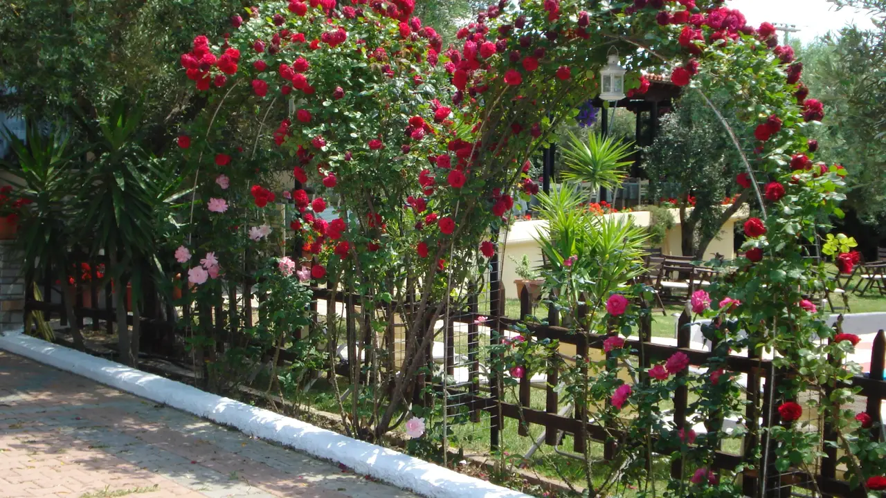 Asteris Village