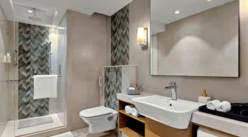 Astor Goa