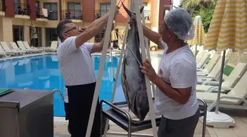 Astoria Hotel Kemer