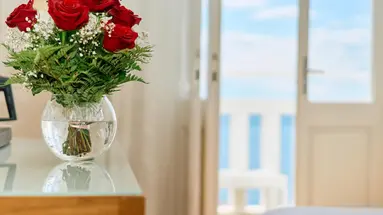 Astoria Hotel Opatija