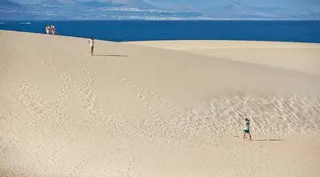 Atlantic Garden Beach Mate