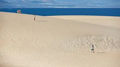 Atlantic Garden Beach Mate